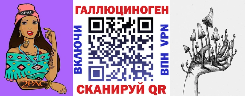 Галлюциногенные грибы Psilocybe Балтийск